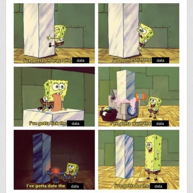 EDA Data Science Meme