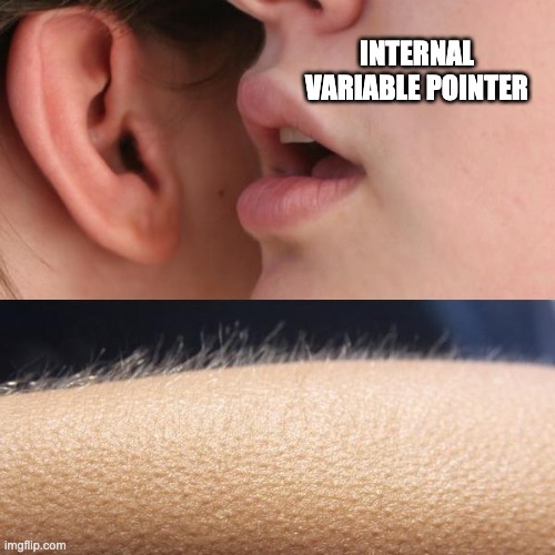 Internal Variable Pointer