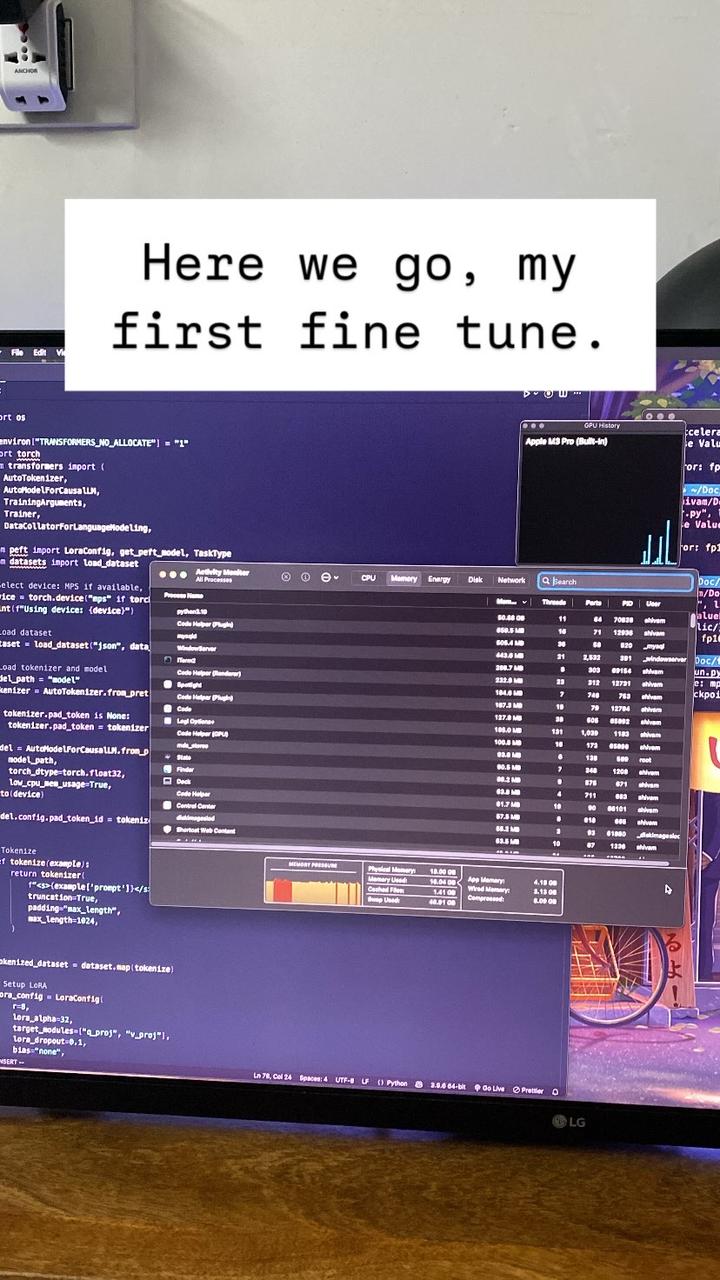 First LLM fine-tune